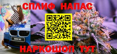 МДПВ Татарск