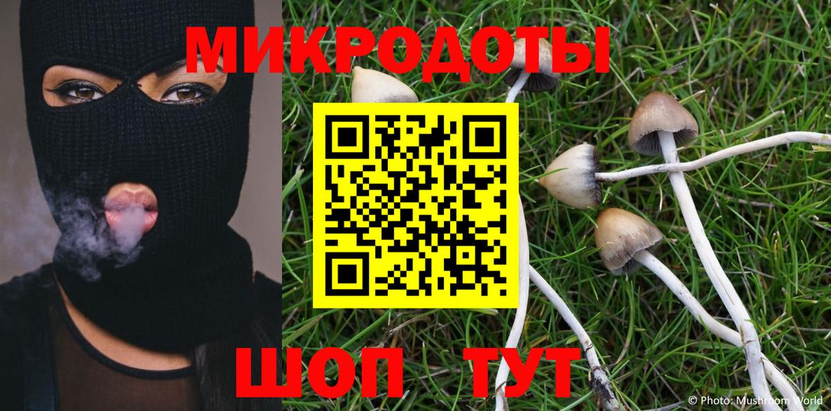 Галлюциногенные грибы GOLDEN TEACHER  Вход с VPN  Псилоцибиновые грибы Cubensis  Москва 